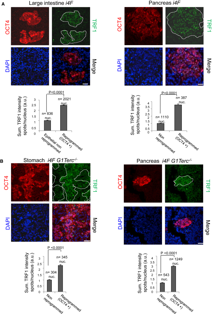 Figure 4