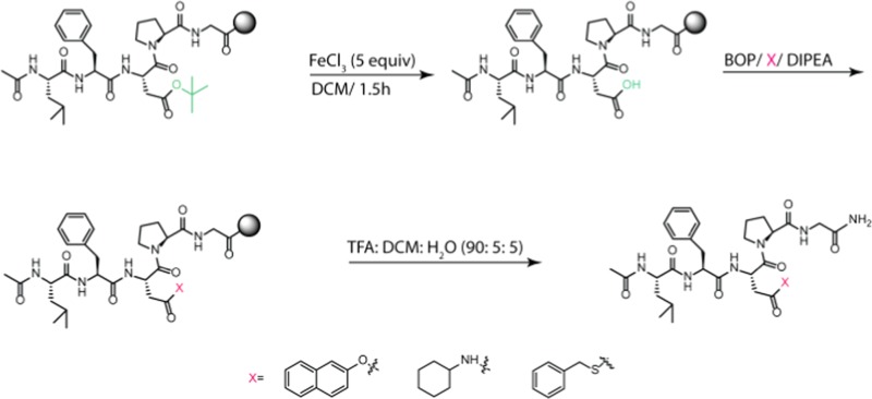 Scheme 2