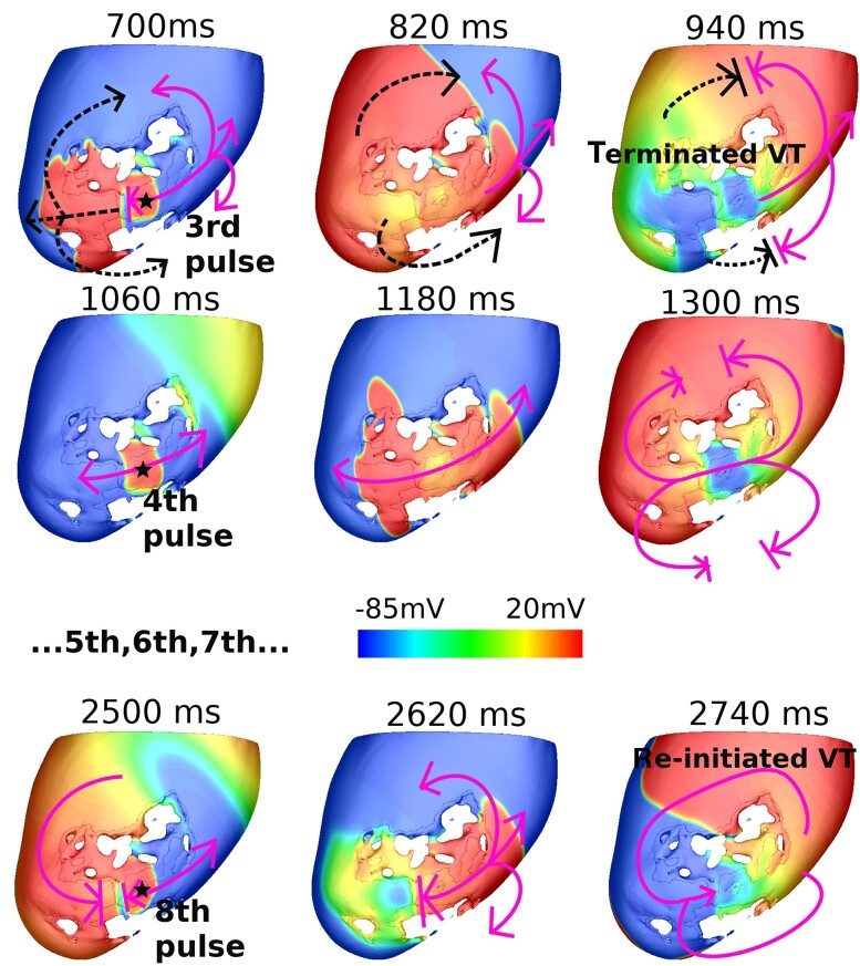 Figure 7