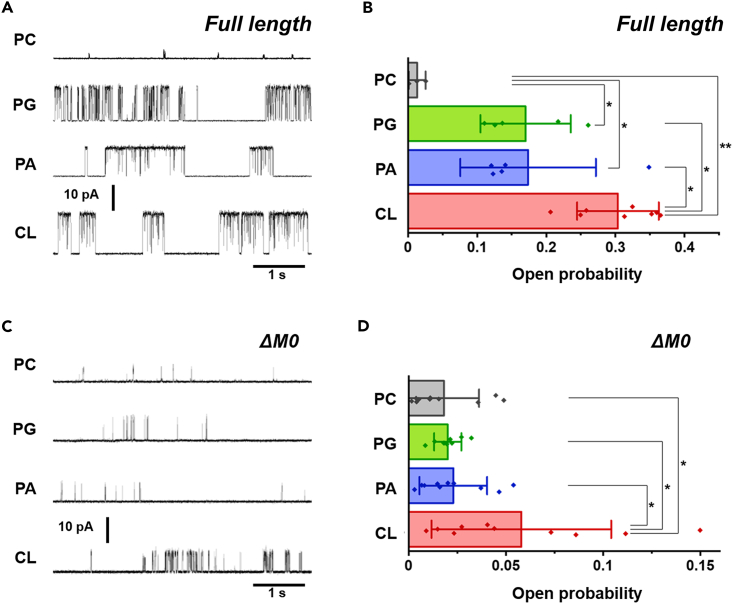 Figure 6