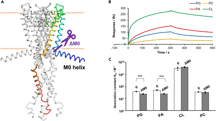 Figure 4