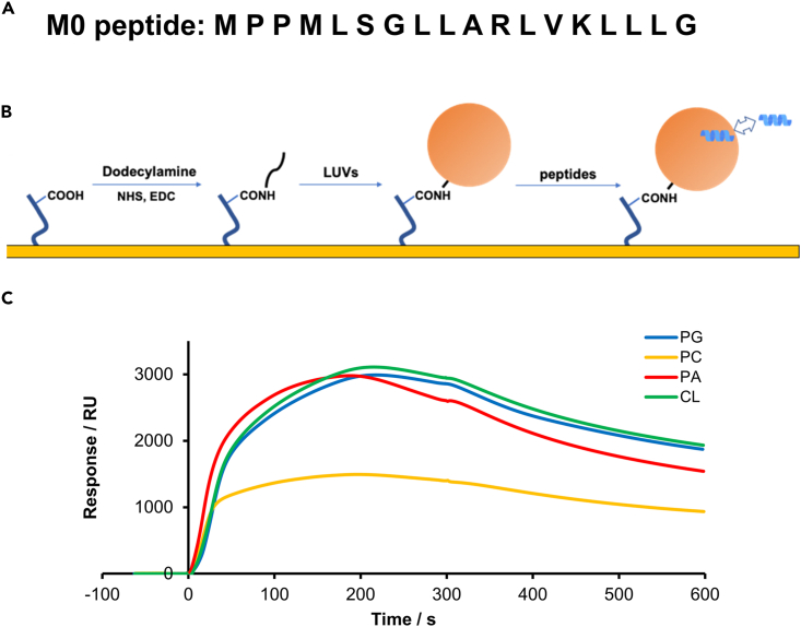 Figure 5