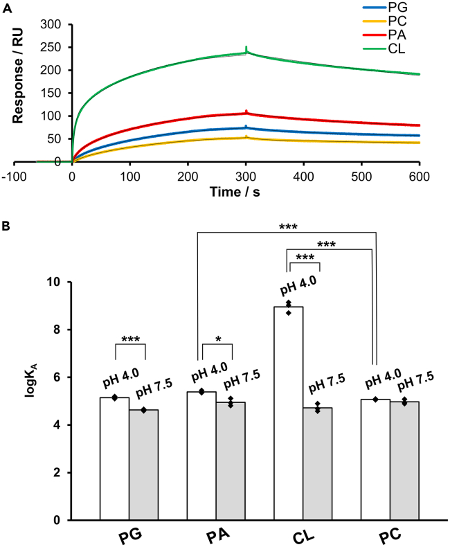 Figure 3