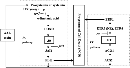 Fig. 8.