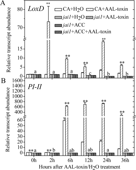 Fig. 5.