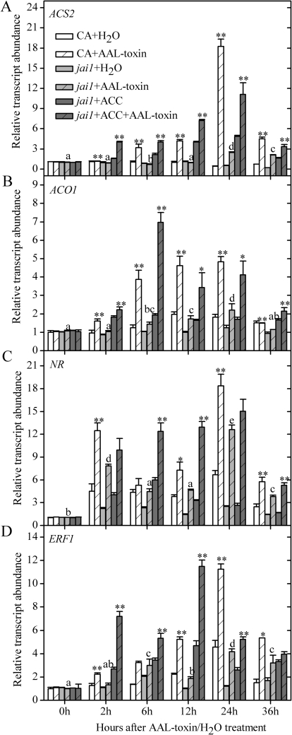 Fig. 6.