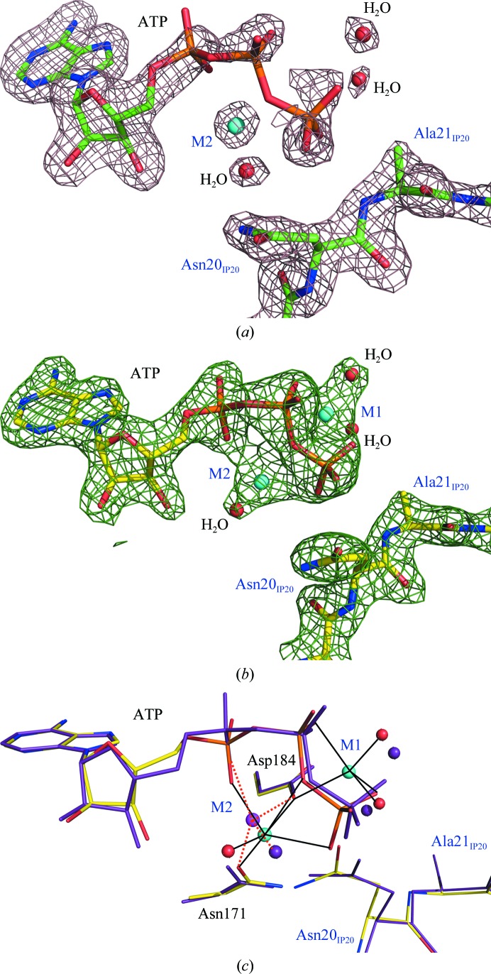 Figure 2