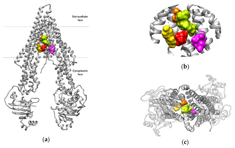 Figure 7