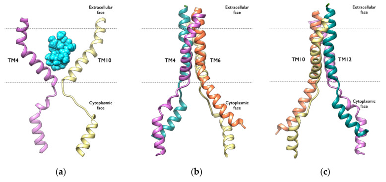 Figure 11