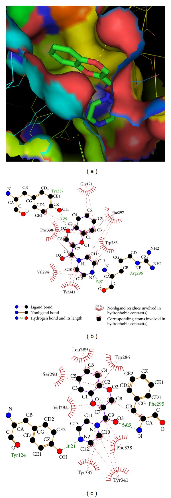 Figure 3