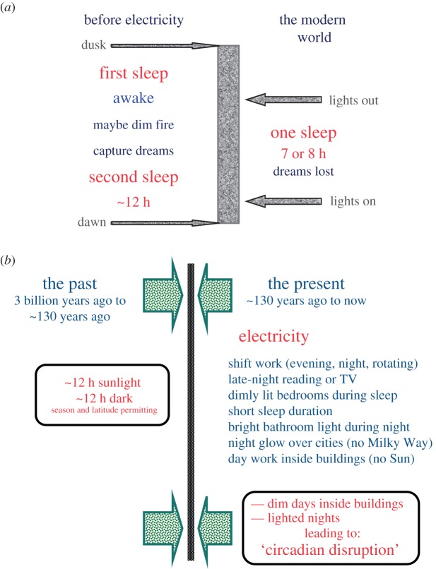 Figure 1.