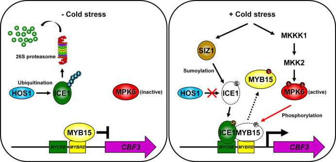 Figure 10.