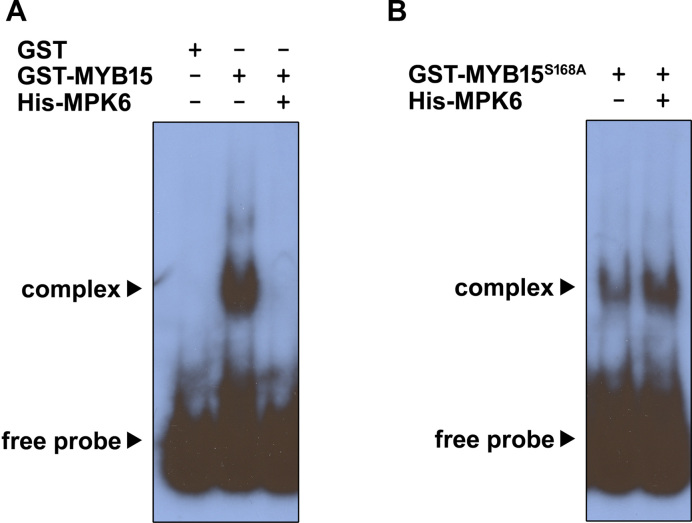 Figure 6.