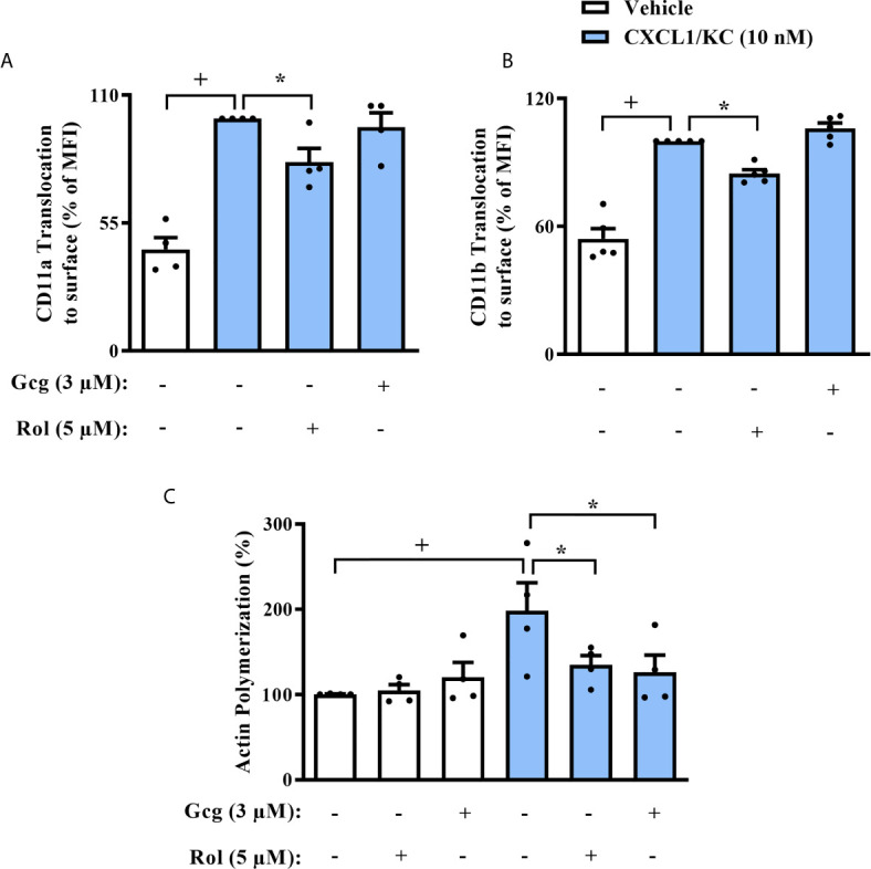 Figure 5