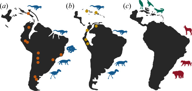 Maps of South America and the Caribbean region during the Palaeogene.