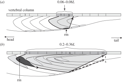 Figure 3.