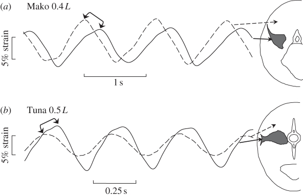 Figure 4.