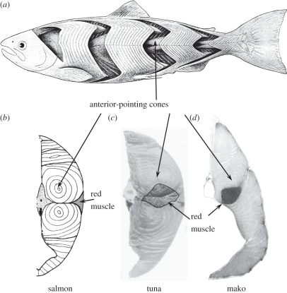 Figure 1.