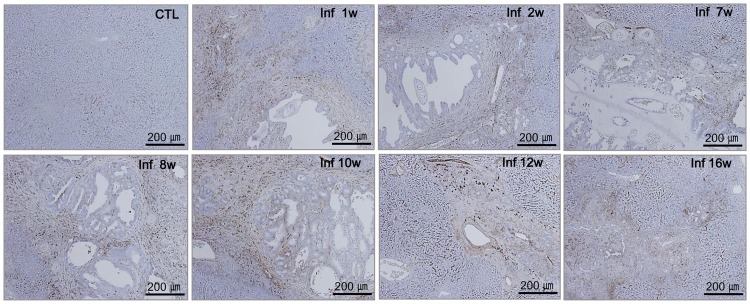 Fig 5