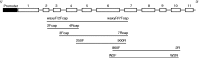 F<sc>ig</sc>. 3.
