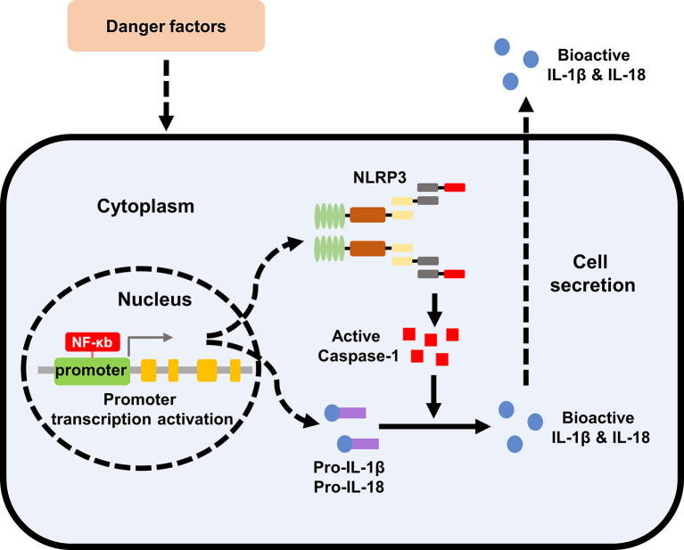 Figure 1