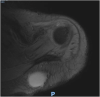 Fig. 10