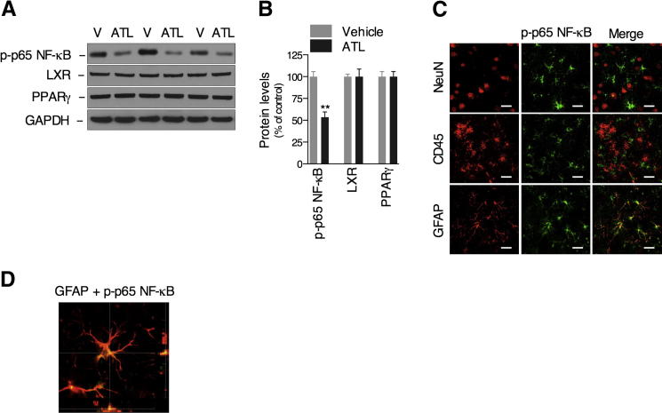 Figure 5