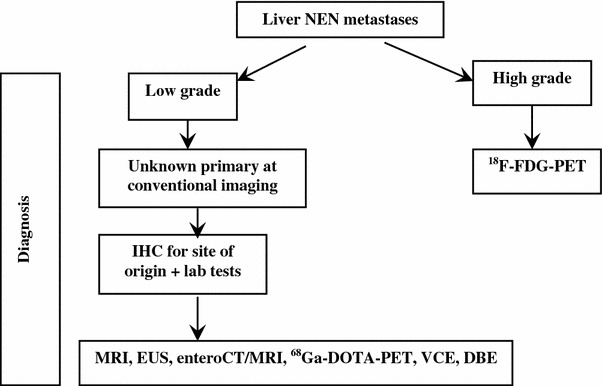 Fig. 12