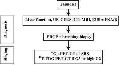 Fig. 7