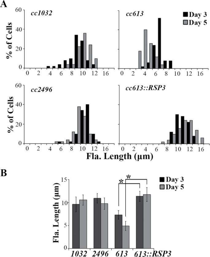 FIGURE 7: