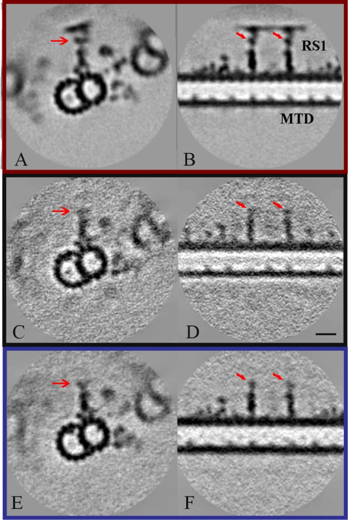 FIGURE 4: