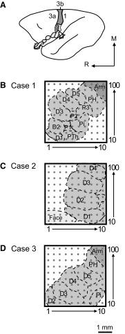 Fig. 2.