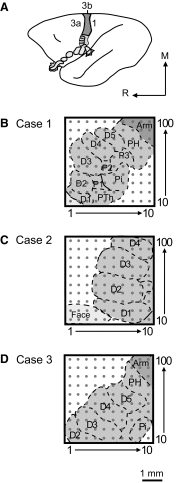 Fig. 2.