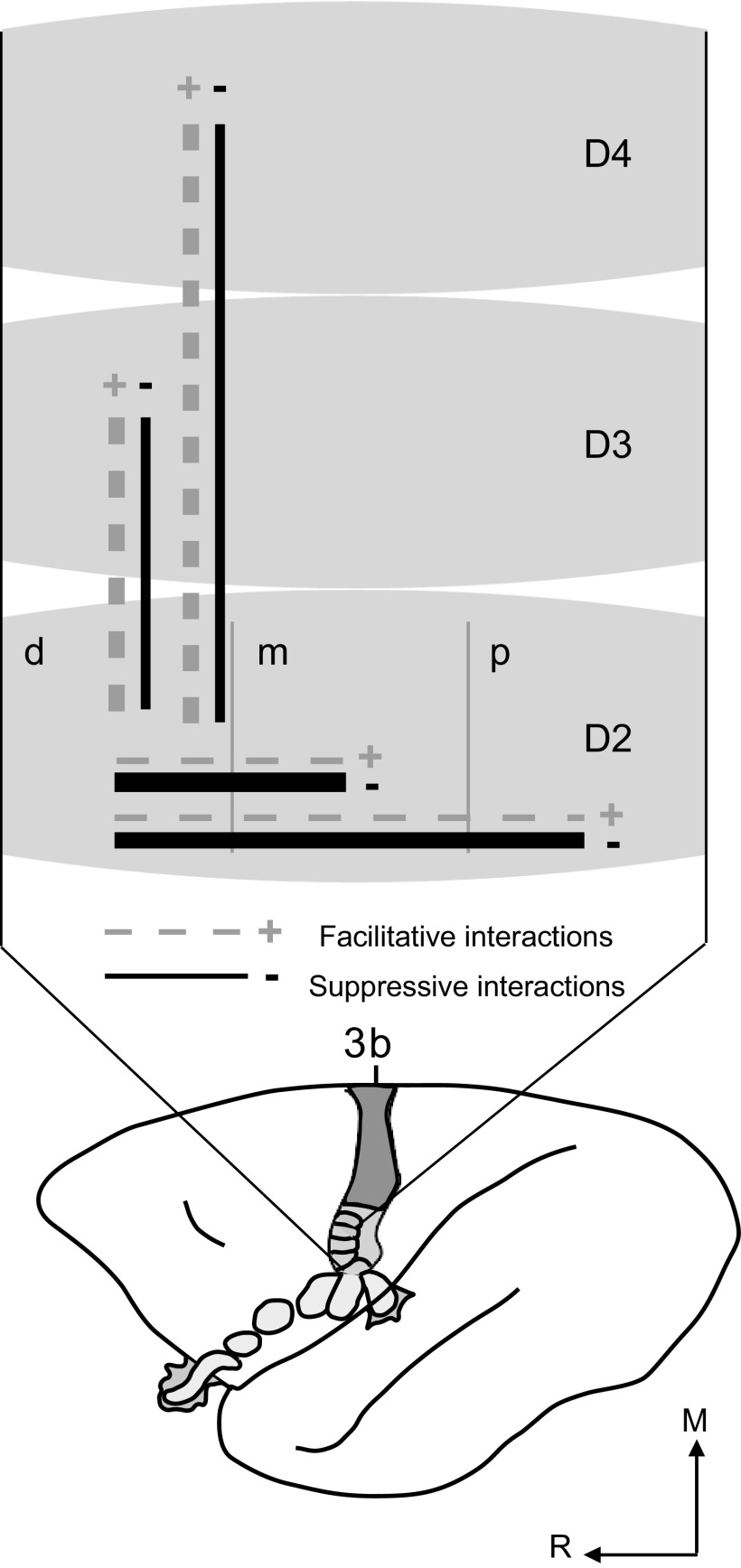 Fig. 9.