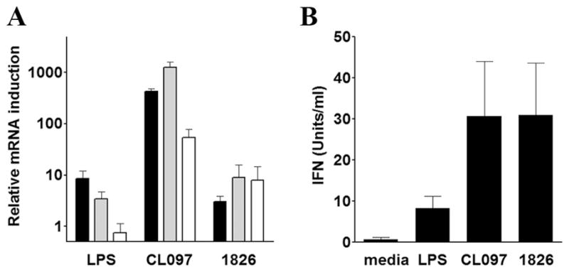 FIGURE 4