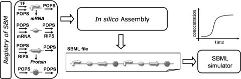 Fig. 1