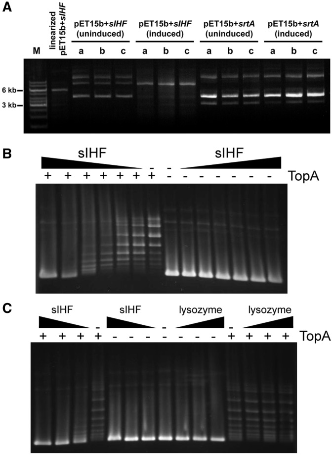 Figure 5.