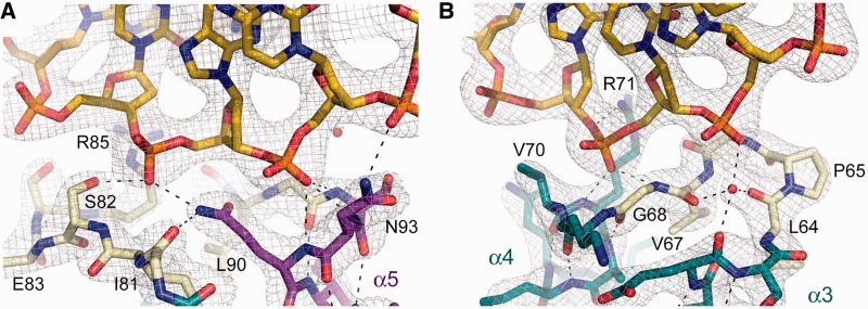 Figure 7.