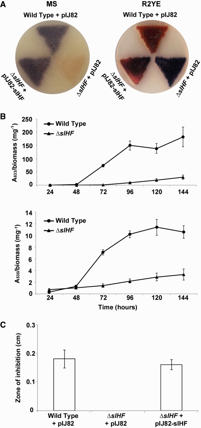 Figure 2.