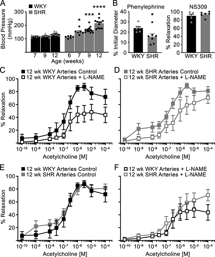 Figure 2: