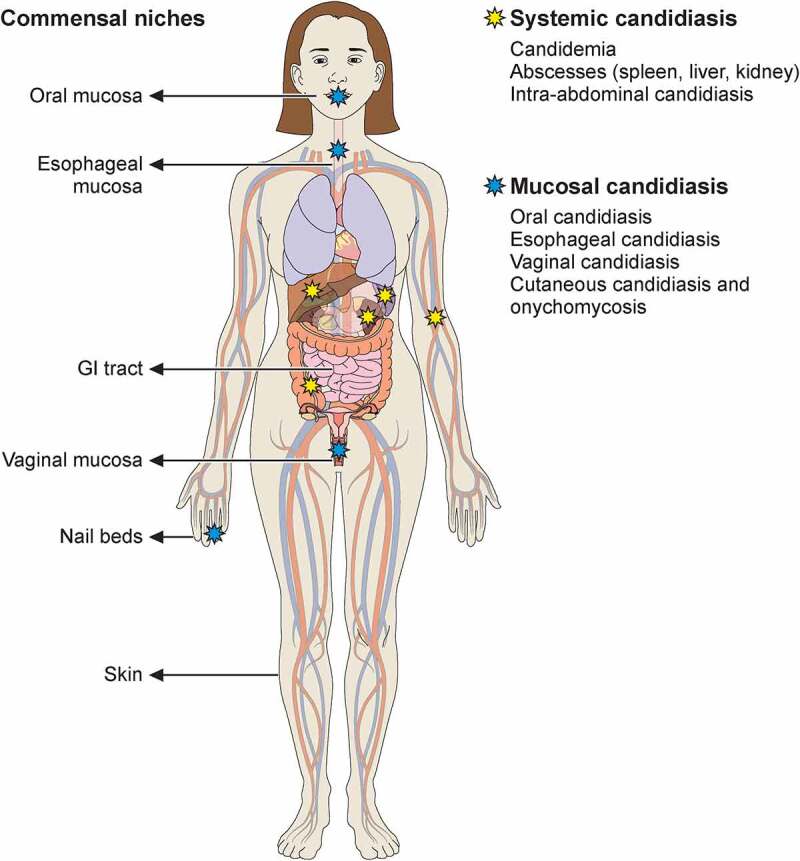 Figure 1.