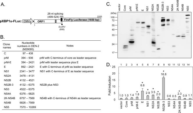 FIG. 3.