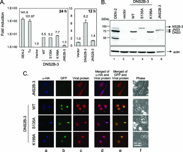 FIG. 4.