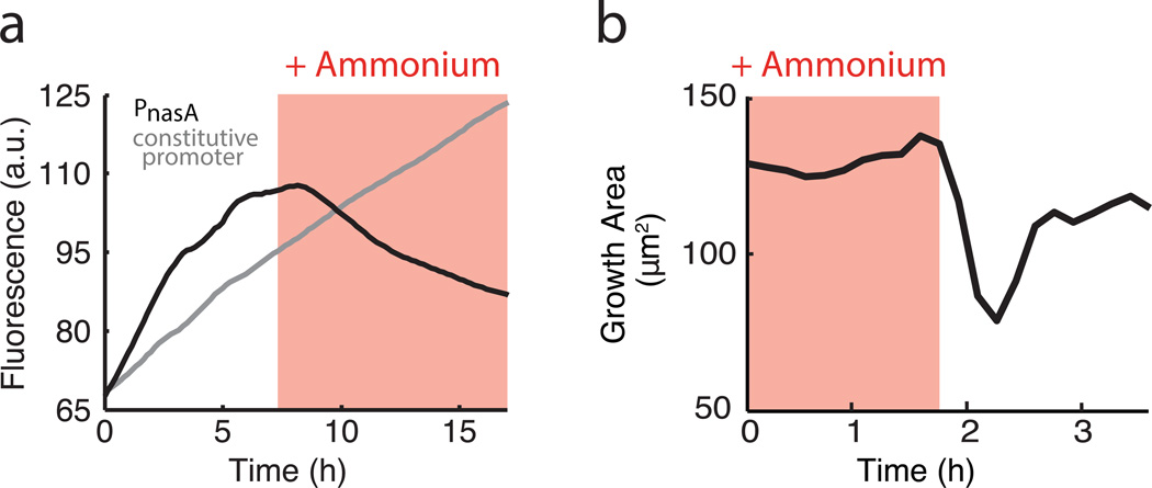 Extended Data Figure 5