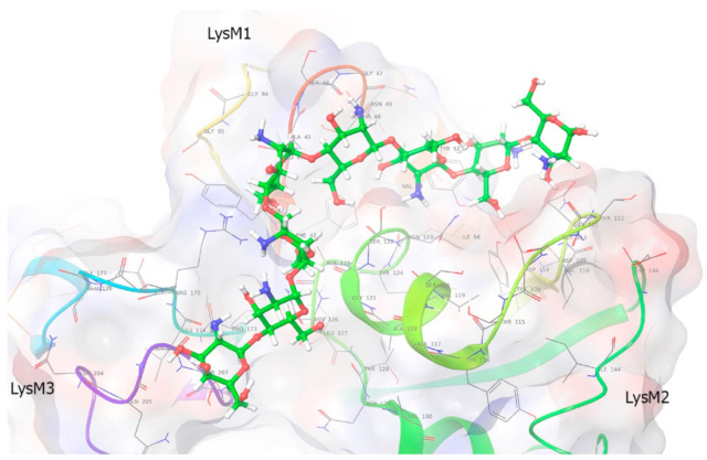 Figure 7