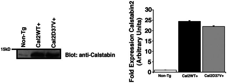 Fig. 5.