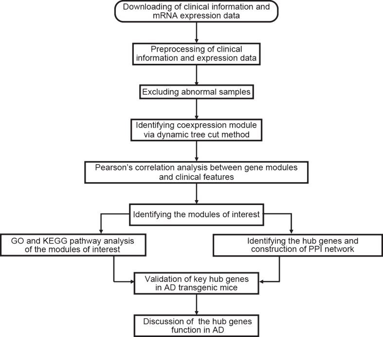 Fig.1