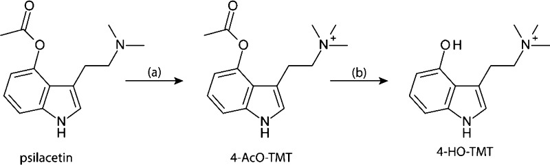 Scheme 1