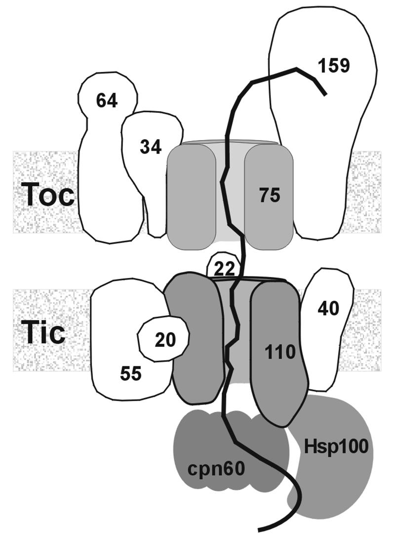 graphic file with name cdf255f7.jpg