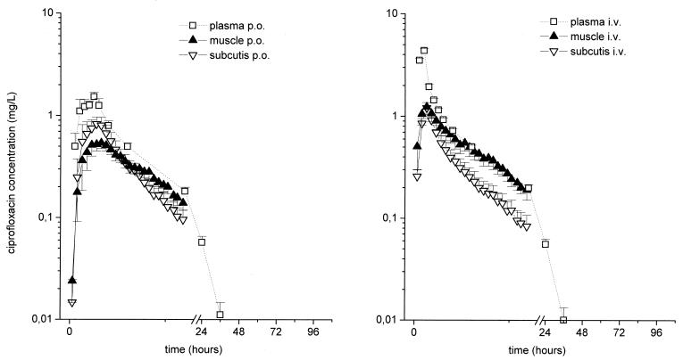 FIG. 1.